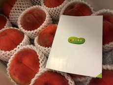 アイキャッチ画像：美味しい桃からサービスデザインに思いを馳せる