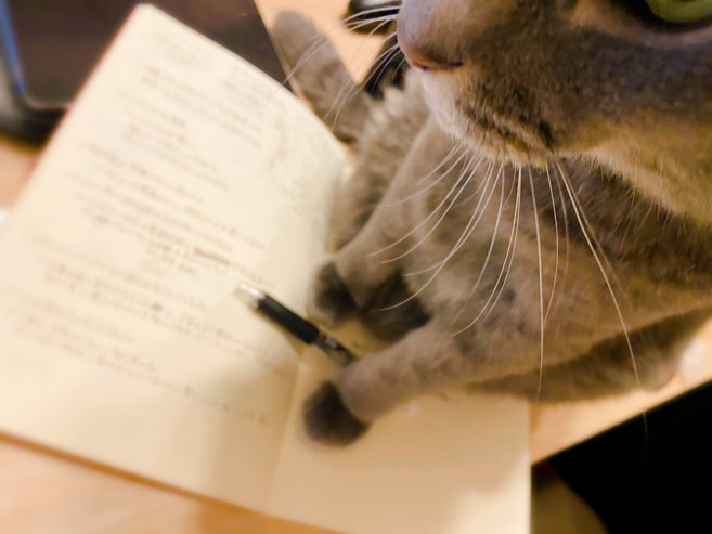 B5サイズのノートと我が家の猫